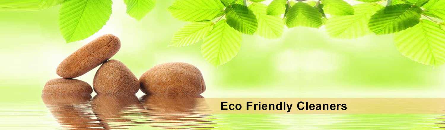 Eco Friendly Cleaners