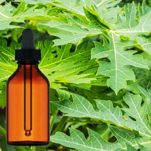Buy the high quality Papaya Leaf Liquid Extract in Brampton