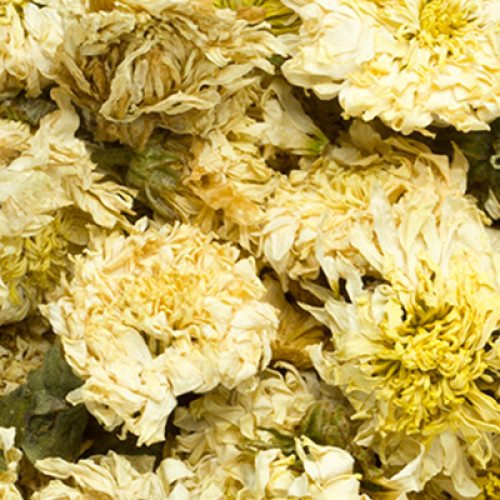 Best Quality CHRYSANTHEMUM FLOWER WHOLE in Canada and USA