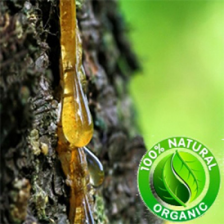 Frankincense Herbal Oil (CANADA)