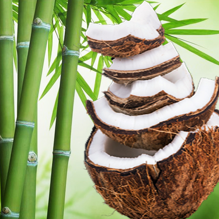 Bamboo Coconut Fragrance Oil
