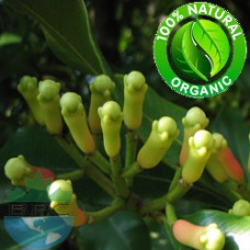 Clove Bud Essential Oil Organic (Syzygium Aromaticum L)
