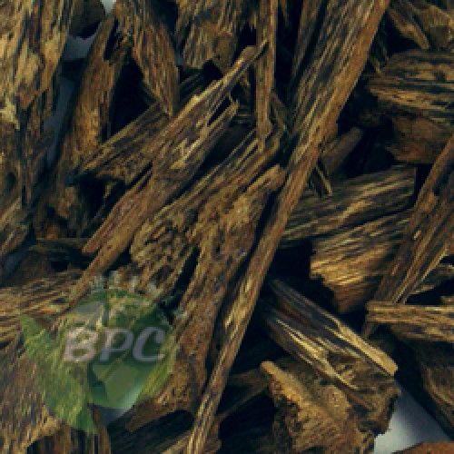 Shop for Oud Wood ESSENTIAL OIL 10 PERCENT in Canada and USA