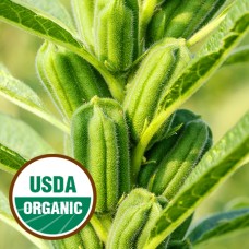Sesame Seed Oil Extra Virgin Organic 
