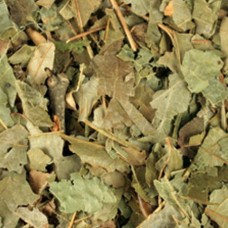 WITCH HAZEL LEAVES CUT AND SIFTED