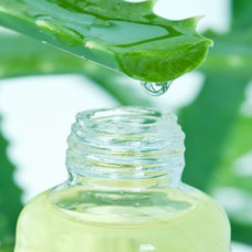 Aloe Vera Oil Organic 