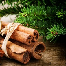 Cinnamon Bark Essential Oil (India)