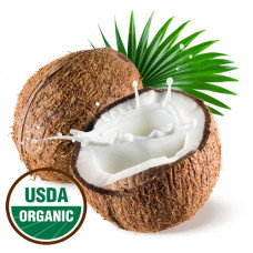 Coconut Fractionated Oil MCT Organic 