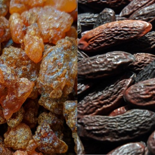 tonka and myrrh fragrance oil