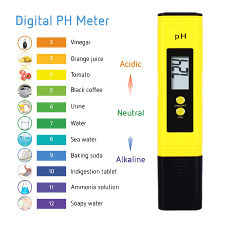 pH Tester Meter