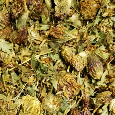 RED CLOVER TOPS WHOLE