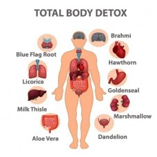 Total Body Detox Tincture