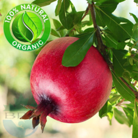 Pomegranate Seed Oil Virgin Organic