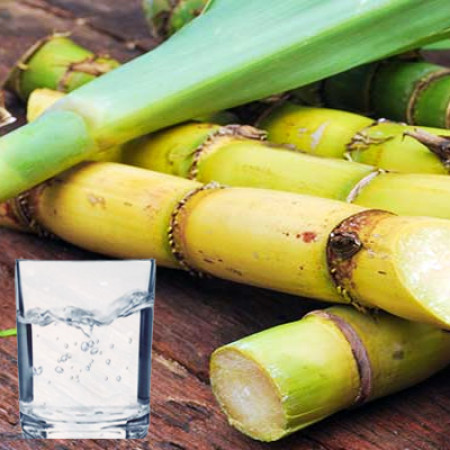 Sugarcane Extract 