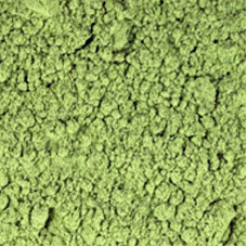 Moringa Leaf Powder Organic (INDIA)