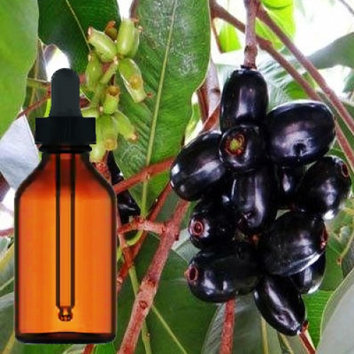 Buy the high quality Jambul Fruit Liquid Extract in Brampton