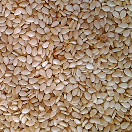 SESAME SEED NATURAL WHOLE