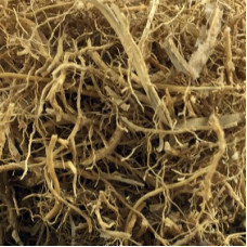 CUSCUS GRASS (KHUSS) SEE VETIVER ROOT 