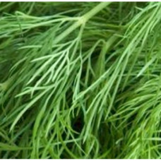 Dill Seed Floral Water