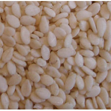Sesame Seed Oil (INDIA)