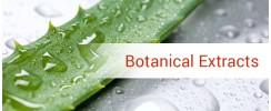 Botanical Extracts Botanical Extracts