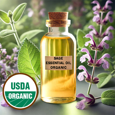 Sage Essential Oil Organic Sage Essential Oil Organic