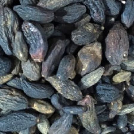 YOUNG HARDE (KALI HARAD) WHOLE YOUNG HARDE (KALI HARAD) WHOLE