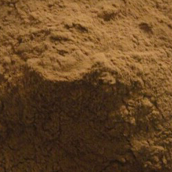 Muira Puama Bark Extract 4:1 Muira Puama Bark Extract 4:1