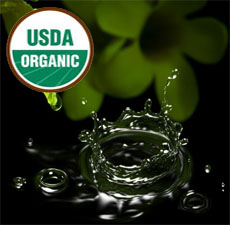 Glycerine ORGANIC Glycerine ORGANIC